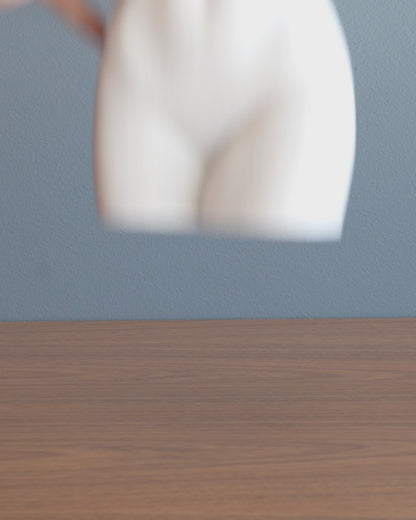 Summer Body Planter/ Pen/ Remote Holder - Female